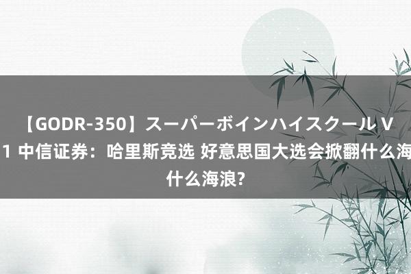 【GODR-350】スーパーボインハイスクール VOL.1 中信证券：哈里斯竞选 好意思国大选会掀翻什么海浪?