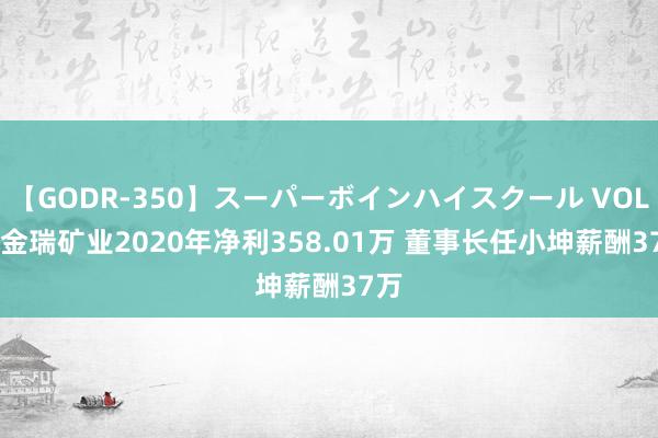 【GODR-350】スーパーボインハイスクール VOL.1 金瑞矿业2020年净利358.01万 董事长任小坤薪酬37万