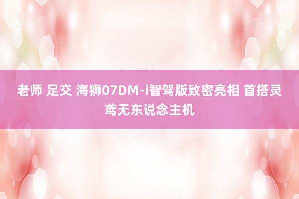 老师 足交 海狮07DM-i智驾版致密亮相 首搭灵鸢无东说念主机