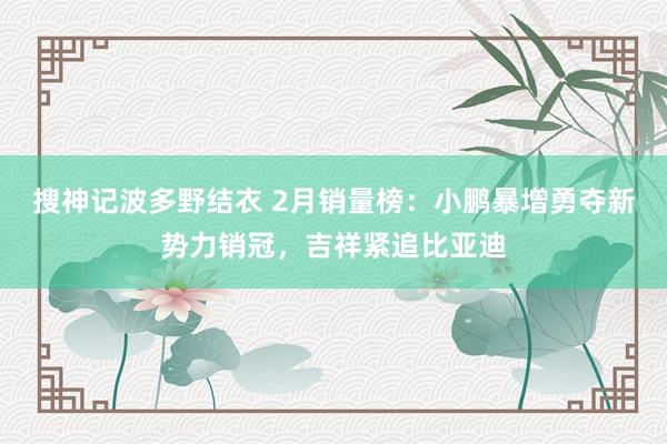 搜神记波多野结衣 2月销量榜：小鹏暴增勇夺新势力销冠，吉祥紧追比亚迪