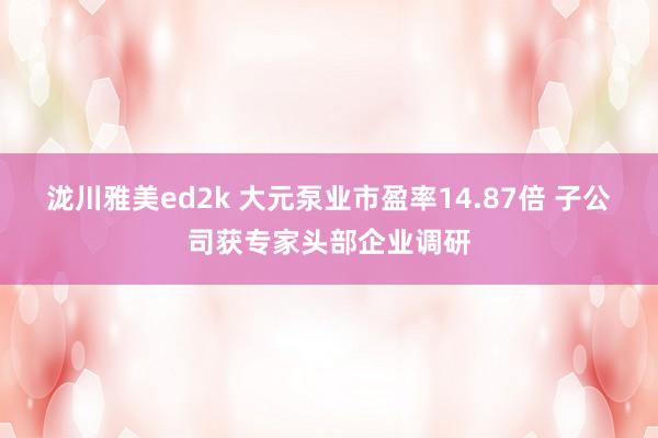 泷川雅美ed2k 大元泵业市盈率14.87倍 子公司获专家头部企业调研